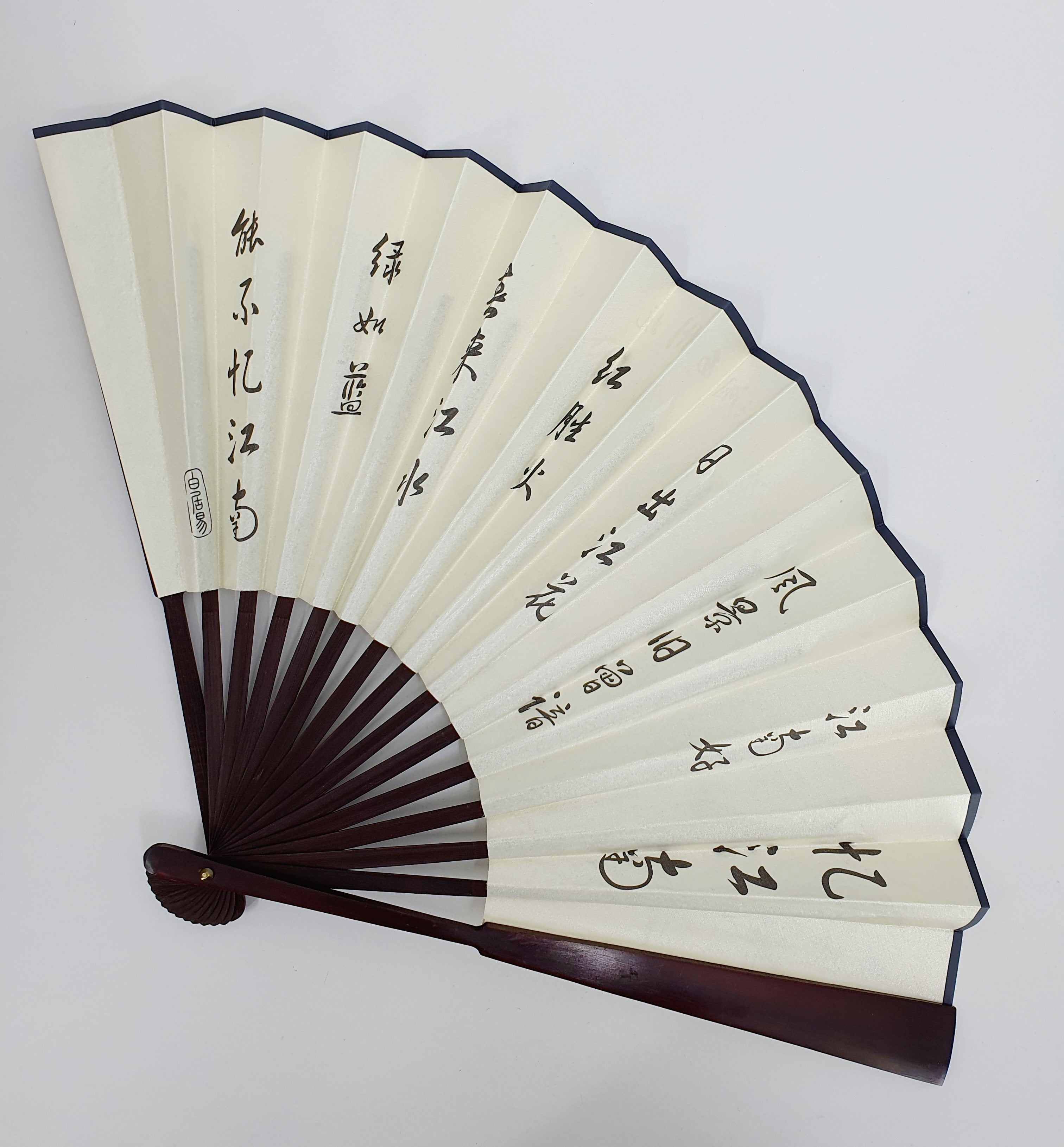 Fan and storage bag