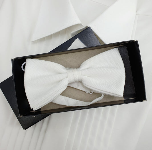 Bosweel, white bow tie