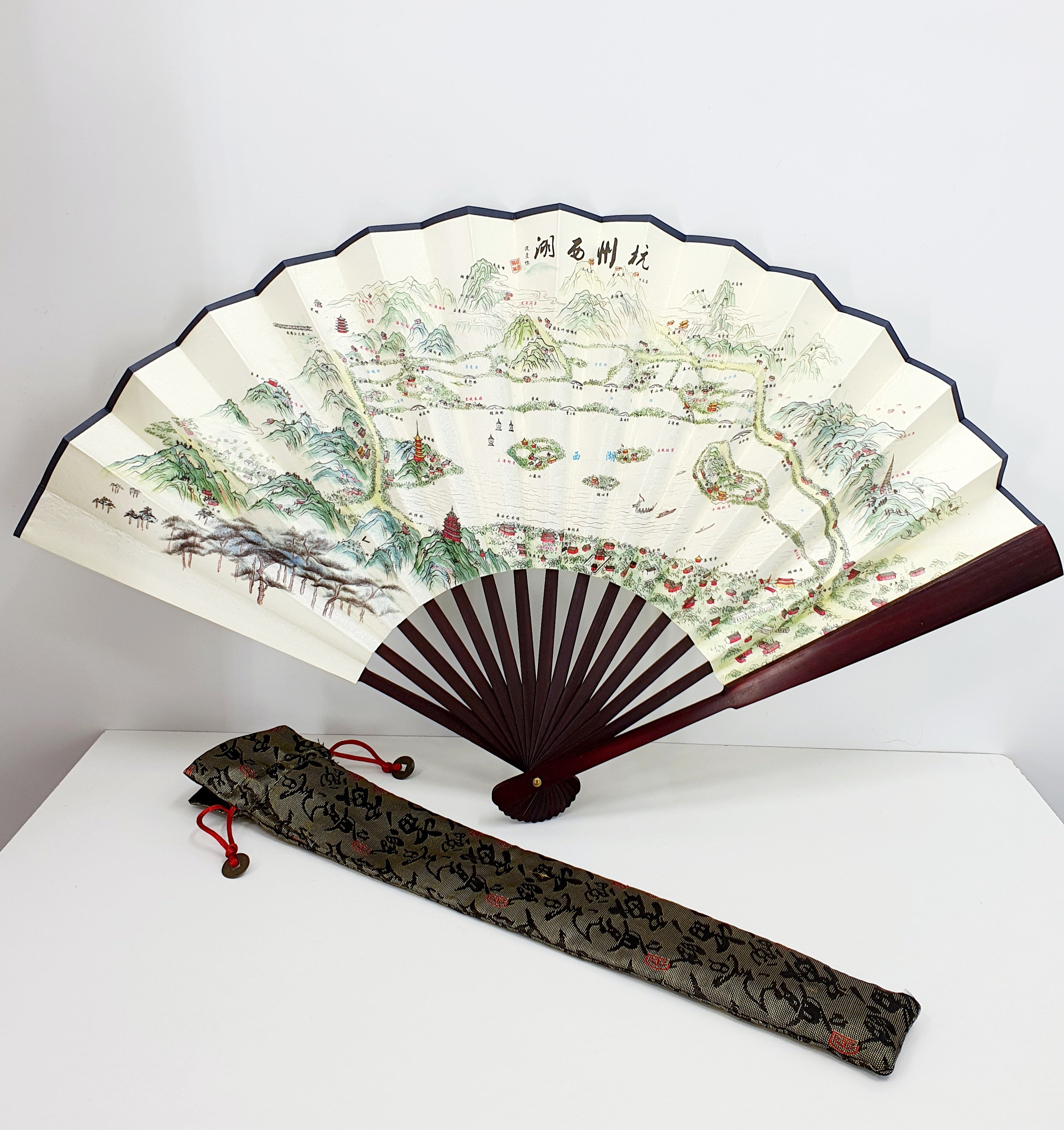 Fan and storage bag